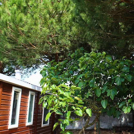 Quinta Figueiras - Cozy Nature Near Beaches * Sesimbra