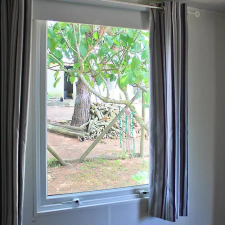 Quinta Figueiras - Cozy Nature Near Beaches Ferienhaus *